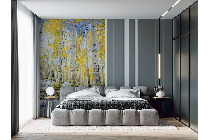Фотообои «Осенние березки в первом снегу» в интерьере