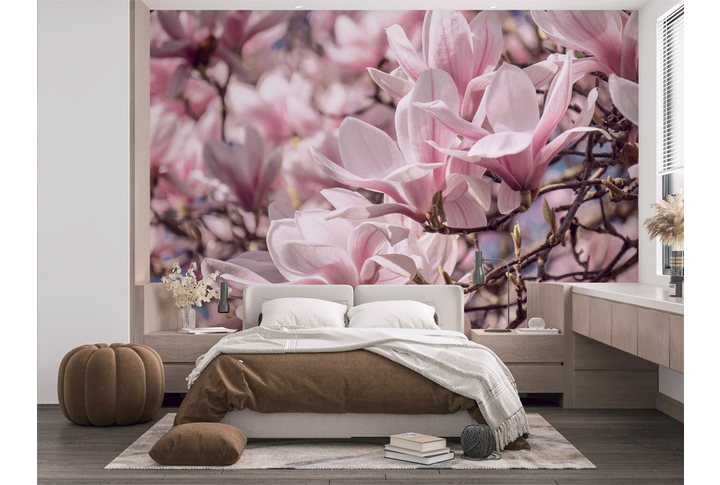 Фотообои «Цветущие ветки дерева магнолии» в интерьере