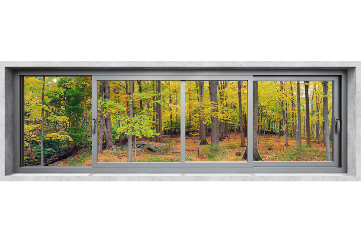 Фотообои «Окно в лесную яркую осень»
