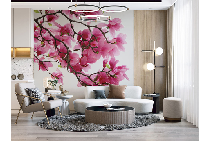 Фотообои «Раскидистые ветки магнолии на белом фоне» в интерьере