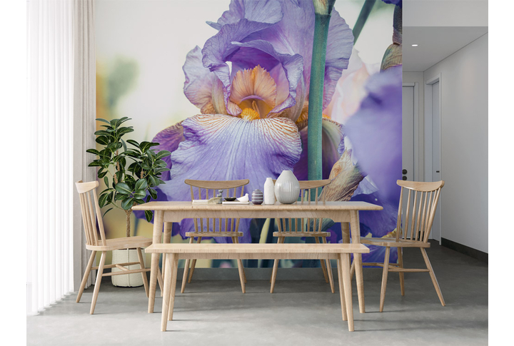 Фотообои «Фиолетовые ирисы» в интерьере