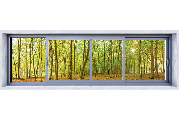 Фотообои «Окно в осеннем лесу»