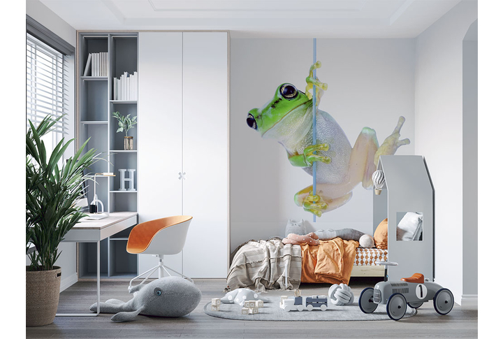 Фотообои «Лягушка на светлом фоне» в интерьере