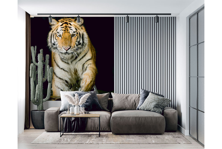 Фотообои «Тигр в воде на чёрном фоне»