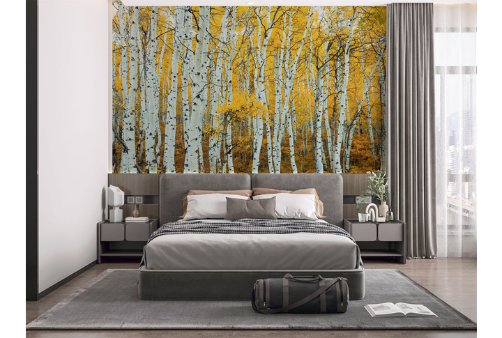 Фотообои «Березы, осенний лес» в интерьере