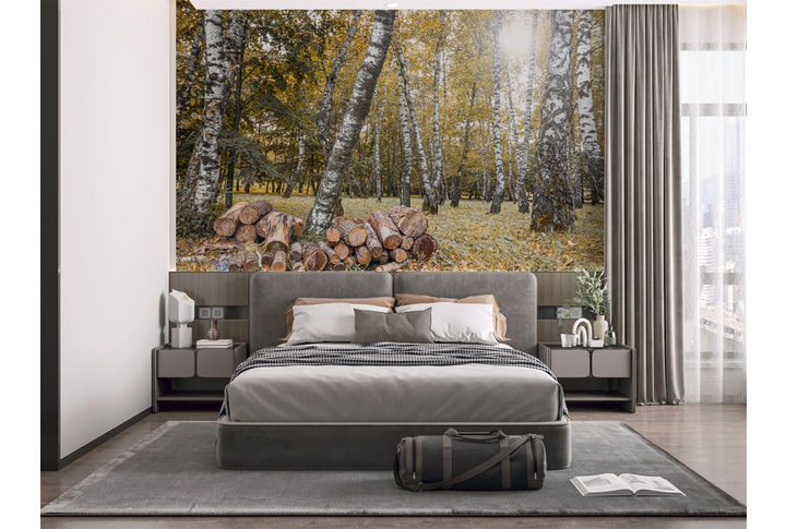 Фотообои «Березовый лес в солнечном свете» в интерьере