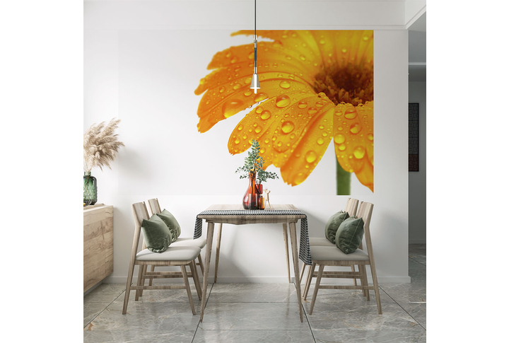 Фотообои «Гербера в каплях воды» в интерьере