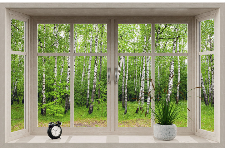 Фотообои «Окно с видом на березовый лес»