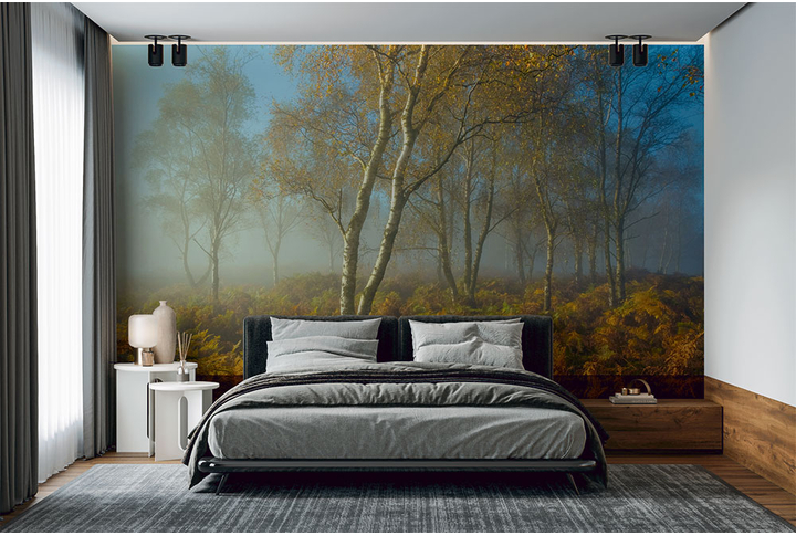 Фотообои «Березовый лес в тумане осенью» в интерьере
