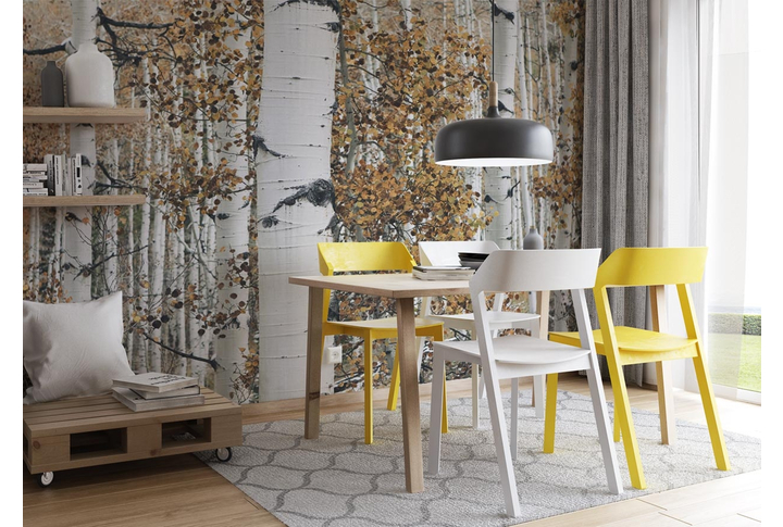 Фотообои «Березовый лес осенью» в интерьере