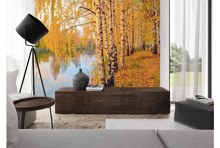 Фотообои «Березовая роща вдоль осенней реки» в интерьере
