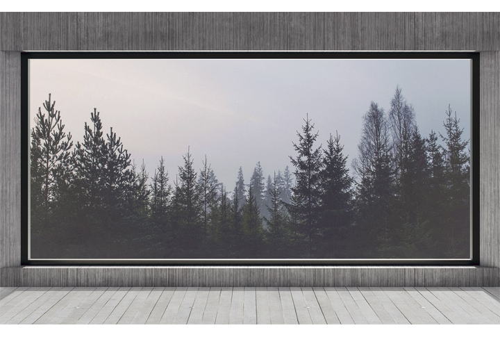 Фотообои «Окно с видом на вечерний еловый лес»