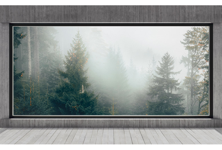 Фотообои «Большое окно на террасе в еловом лесу»