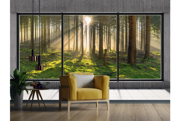 Фотообои «Окно Утро в сосновом лесу» в интерьере