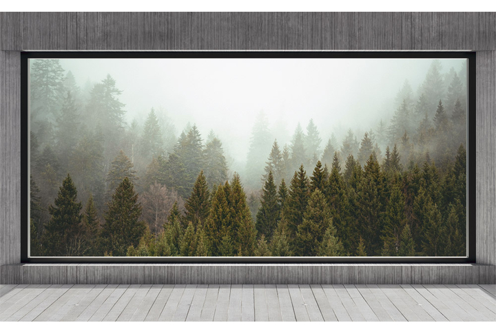 Фотообои «Окно на террасе в туманном хвойном лесу»