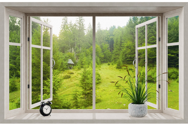 Фотообои «Окно с видом на природу и хвойный лес»