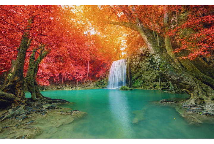 Фотообои «Водопад в осеннем солнечном лесу»
