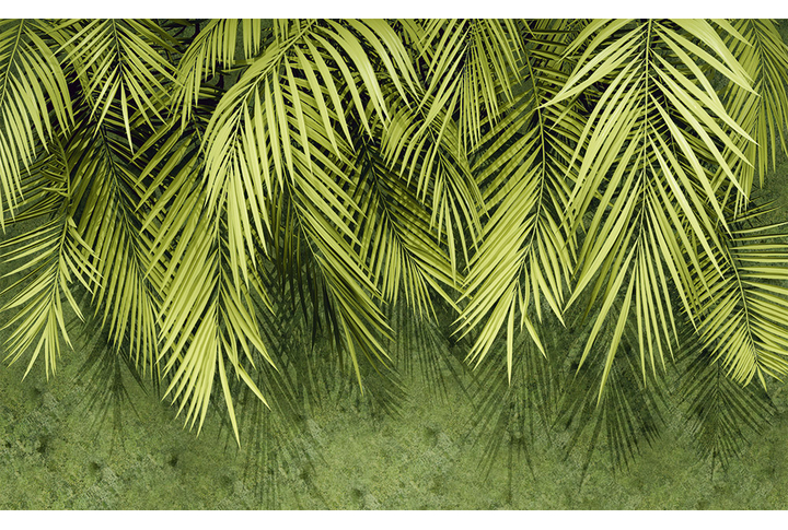 Фотообои «Зеленые пальмовые листья большие»