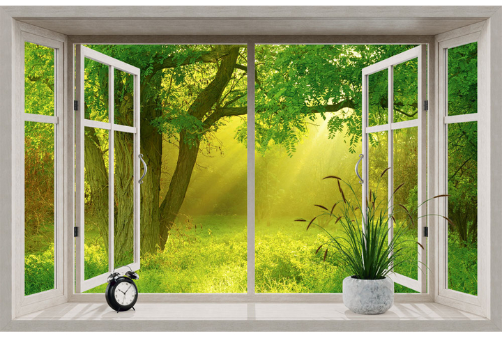 Фотообои «Раскрытое окно в утреннем лесу»