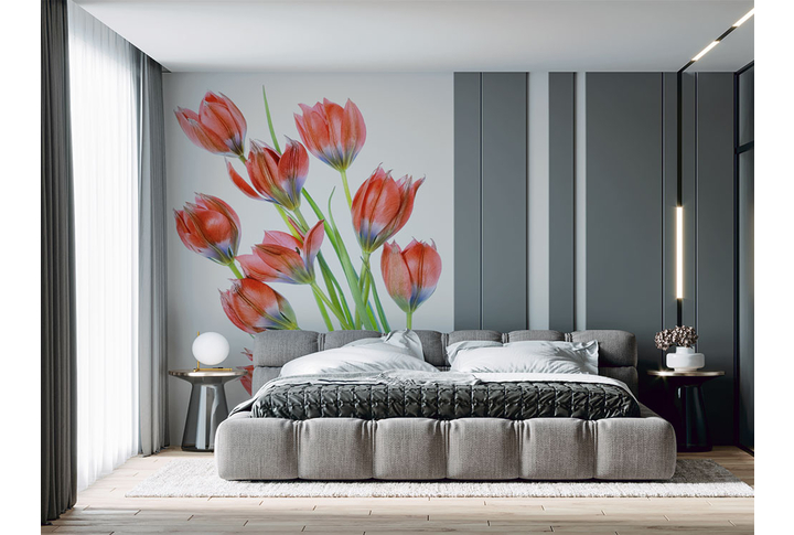 Фотообои «Тюльпаны красные» в интерьере
