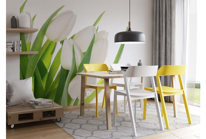 Фотообои «Белоснежные тюльпаны» в интерьере