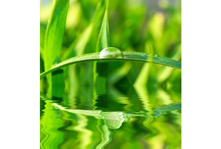 Фотообои «Релакс»