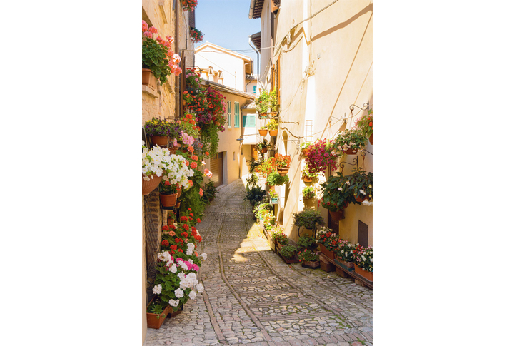 Фотообои «Каменная дорога через итальянскую улицу»