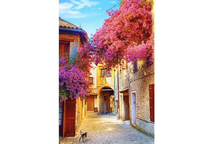 Фотообои «Цветущая улочка Прованса»
