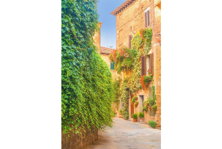 Фотообои «Улица во дворе старого города»