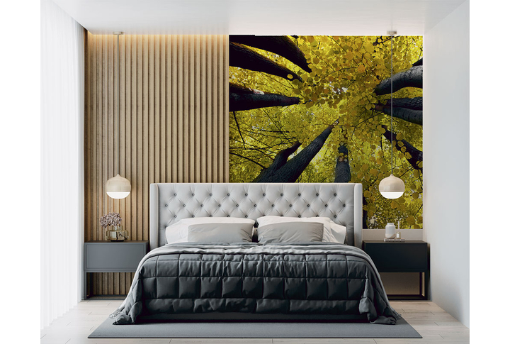 Фотообои «Кроны осенних деревьев» в интерьере