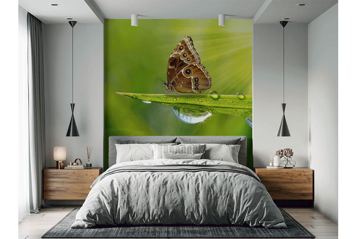Фотообои «Бабочка на травинке» в интерьере