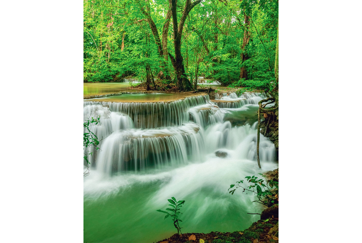 Фотообои «Зеленый водопад в джунглях»