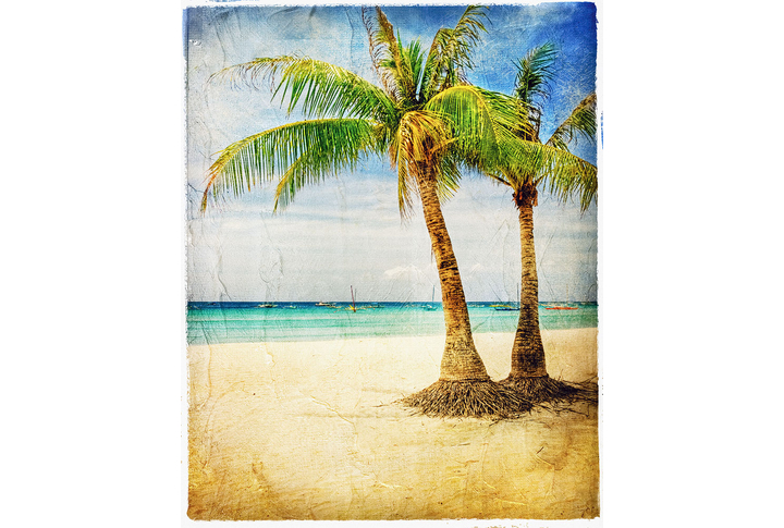 Фотообои «Пальмы на берегу»