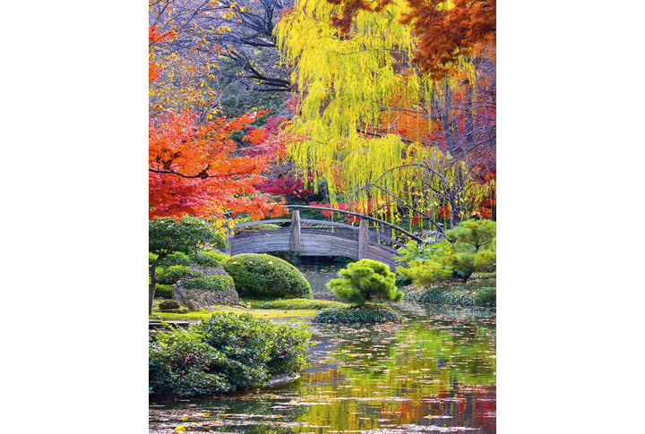 Фотообои «Мостик в осеннем лесном парке»