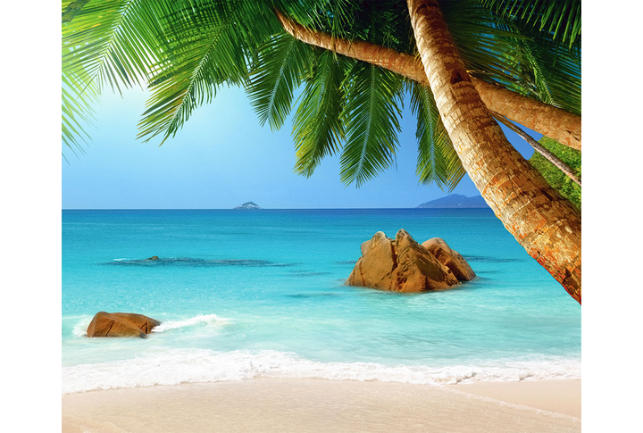 Фотообои «Морской прибой у берега под пальмами»