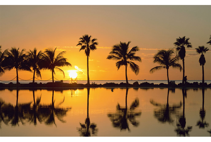 Фотообои «Силуэты пальм на фоне морского заката»