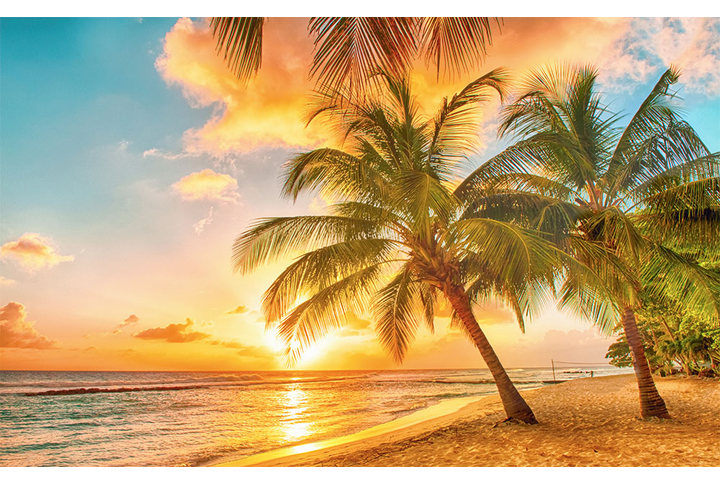 Фотообои «Закат над пальмами на пляже у моря»