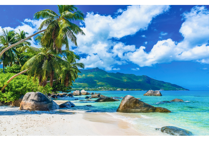 Фотообои «Пальмы на берегу тропического острова в море»