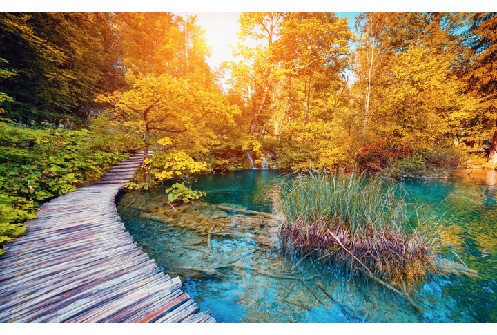 Фотообои «Дорожка вдоль реки в осеннем лесу»