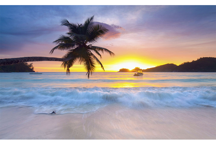 Фотообои «Пальма и морские волны на закате»