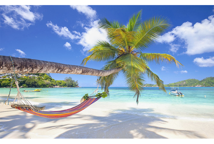 Фотообои «Пальма у моря на острове в Гавайях»