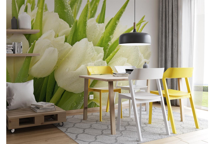 Фотообои «Цветы белых тюльпанов в каплях воды» в интерьере