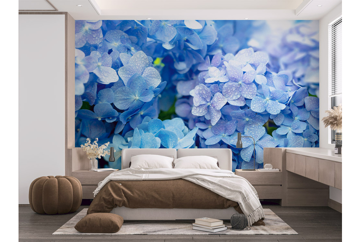 Фотообои «Голубая гортензия в каплях дождя» в интерьере