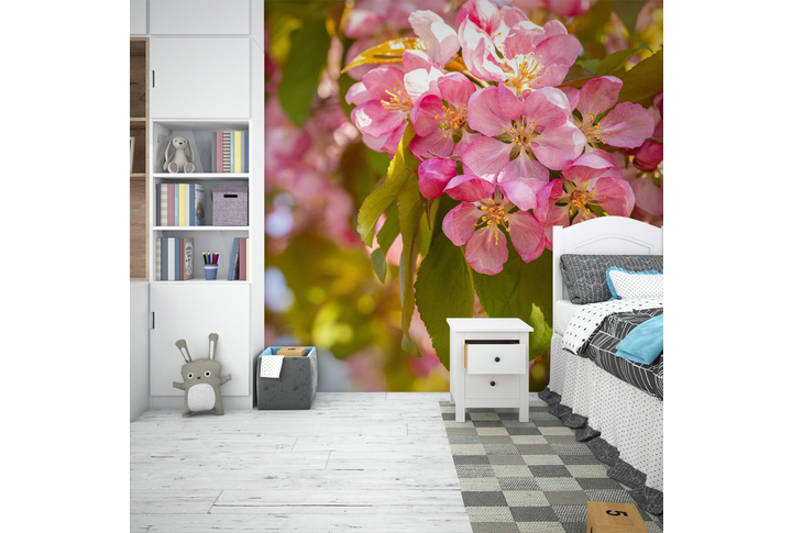Фотообои «Розовые цветы яблони» в интерьере