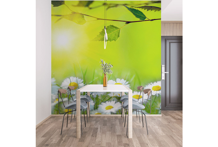 Фотообои «Летние ромашки» в интерьере