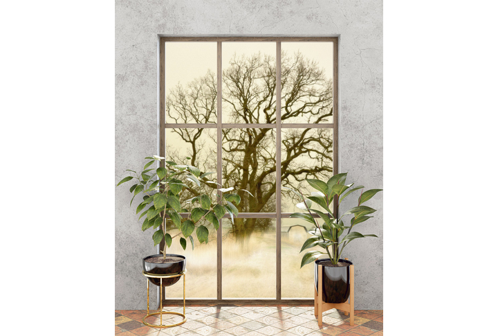 Фотообои «Окно на осеннюю природу»