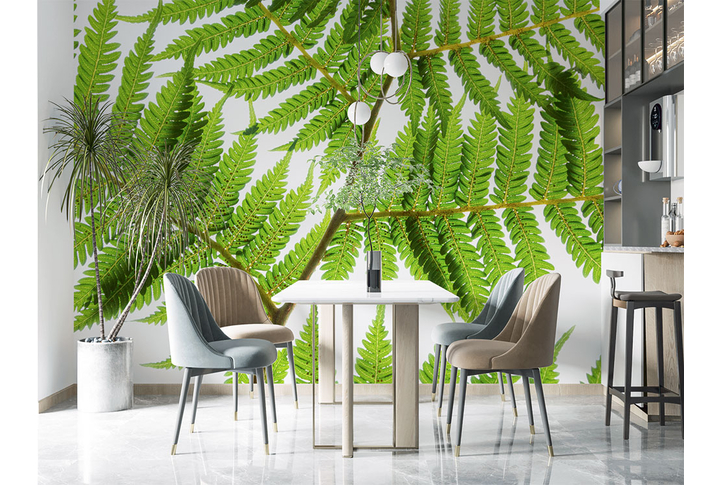 Фотообои «Листья папоротника на свету» в интерьере