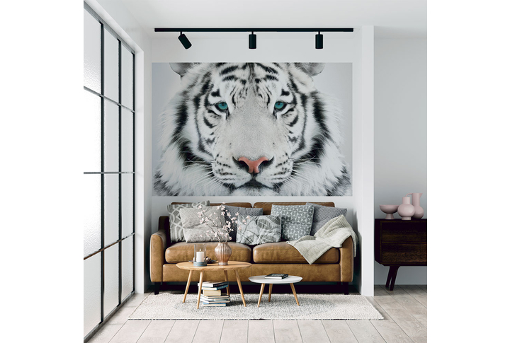 Фотообои «Белый тигр с бирюзовыми глазами» в интерьере