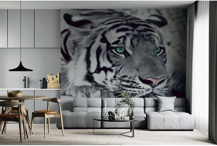Фотообои «Черно-белый тигр с бирюзовыми глазами» в интерьере
