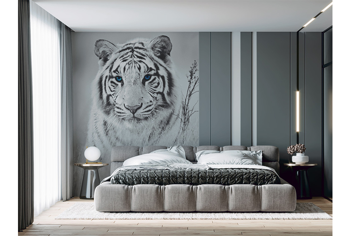 Фотообои «Синеглазый белый тигр» в интерьере